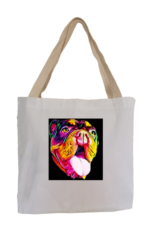 Colorful Agatha Rescue Bag