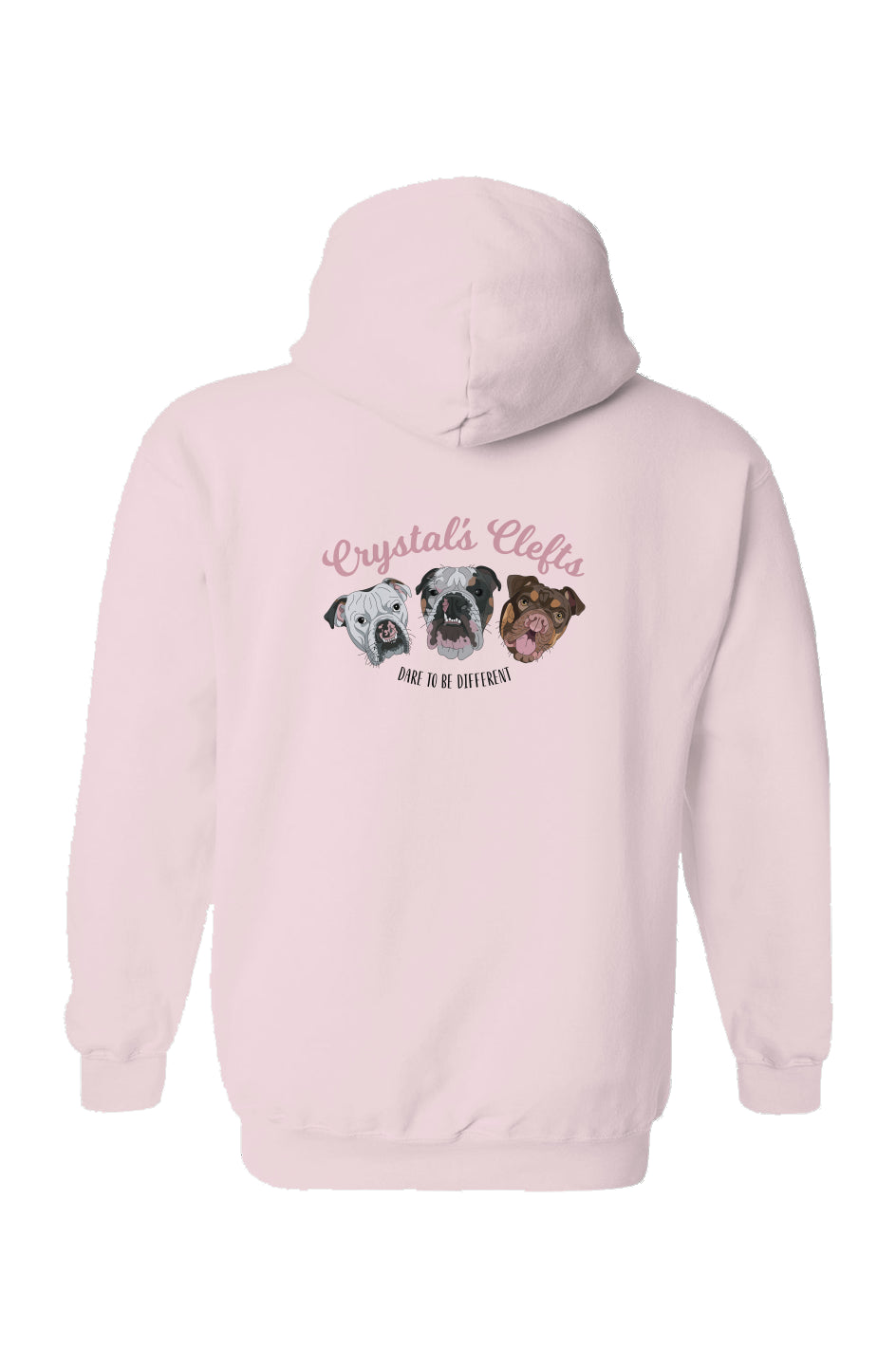 Don't Bully My Breed Rescue Hoodie